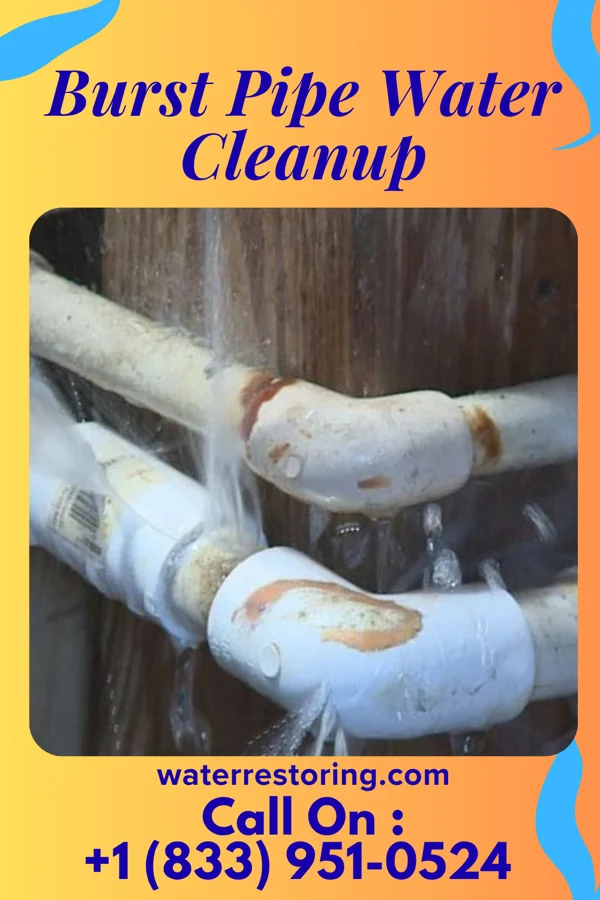 Burst Pipe Water Cleanup in Rio Vista, TX