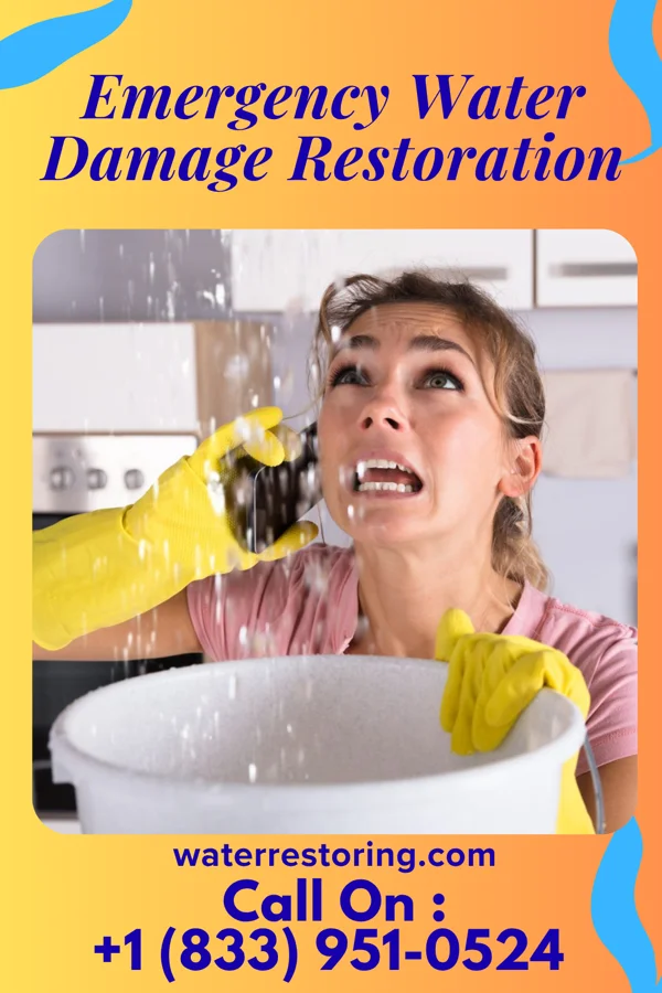 Emergency Water Damage Restoration in Rio Vista, TX