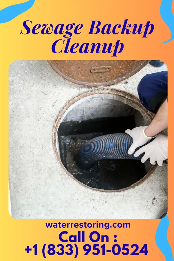 Sewage Backup Cleanup in Rio Vista, TX