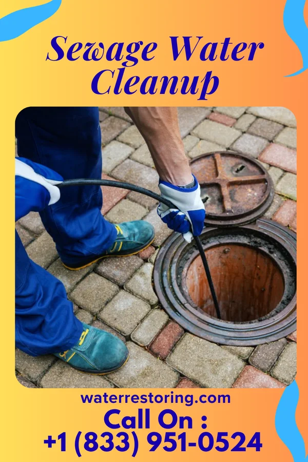 Sewage Water Cleanup in Rio Vista, TX