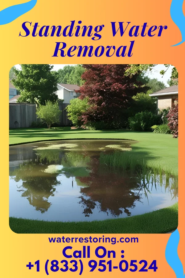 Standing Water Removal in Rio Vista, TX